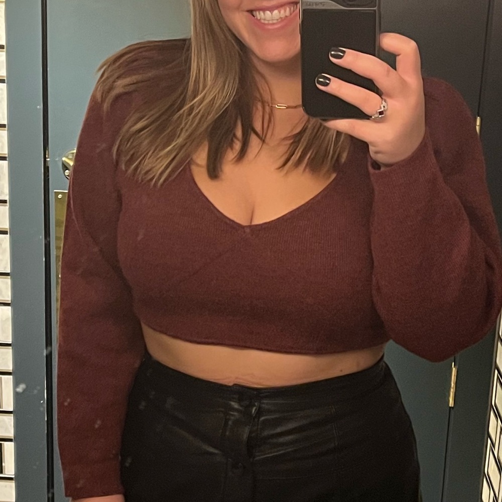 NBD Plum Ribbed V-Neck Cropped Knit